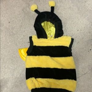 Adorable 🐝  Bumble Bee 🐝 Costume